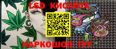 спайс Гагарин