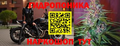 дистиллят марихуана Гатчина