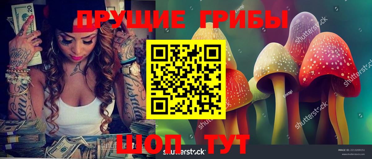 сколько стоит  Вход с VPN  Псилоцибиновые грибы прущие грибы  Горно-Алтайск  Галлюциногенные грибы MAGIC MUSHROOMS 