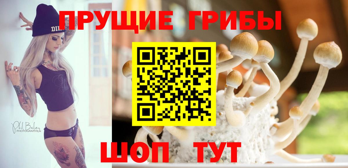 Галлюциногенные грибы MAGIC MUSHROOMS Горно-Алтайск